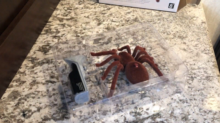 RC Remote Control Spider