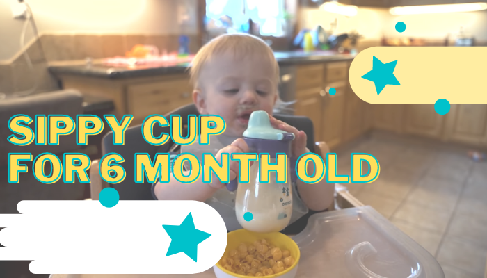 Best Sippy Cup for 6-month-old Breastfed Baby