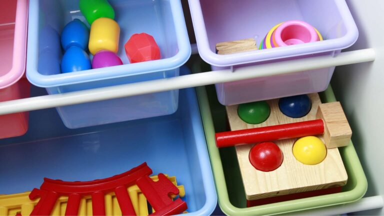 Best Toddler Toy Storage Organizers