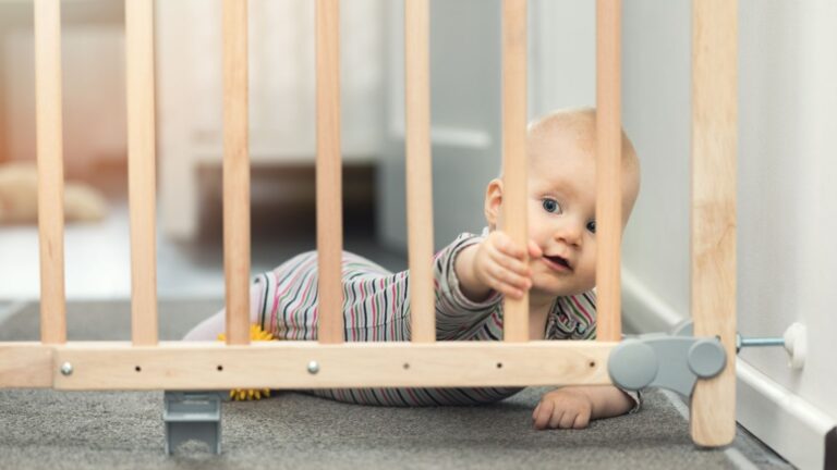 Best Baby Gates for Stairs