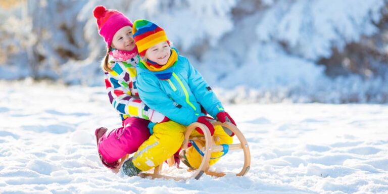 Best Sleds For Toddlers
