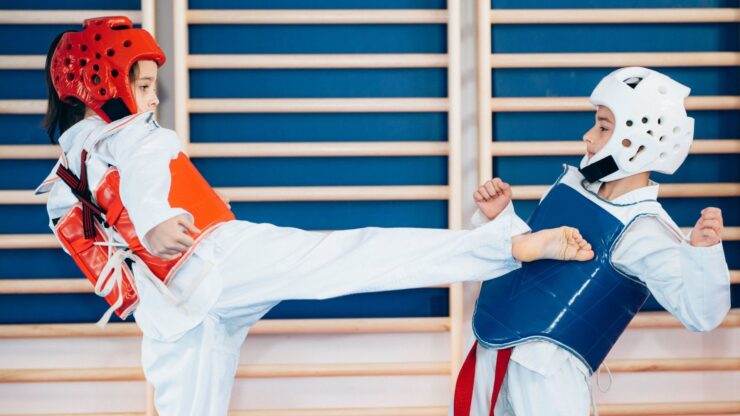 Best Taekwondo Sparring Gear For Kids 