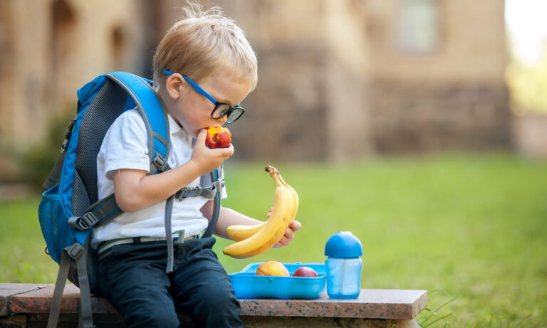 Best Kids Lunch Boxes