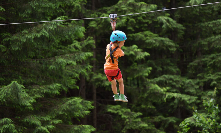 Best Kids Zipline Kits