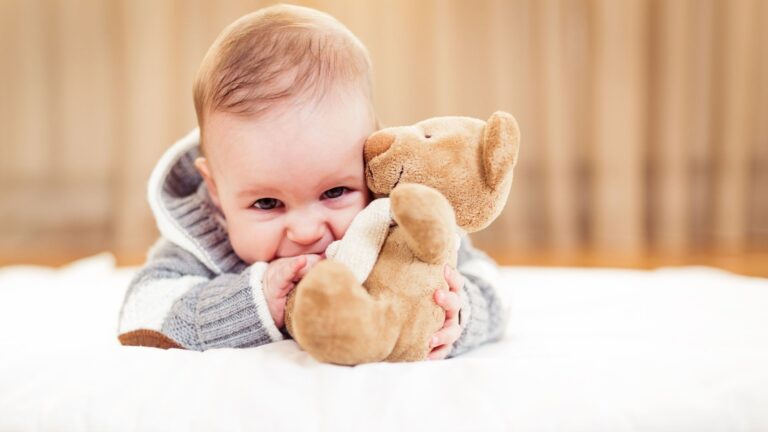 Best Teddy Bear for Baby