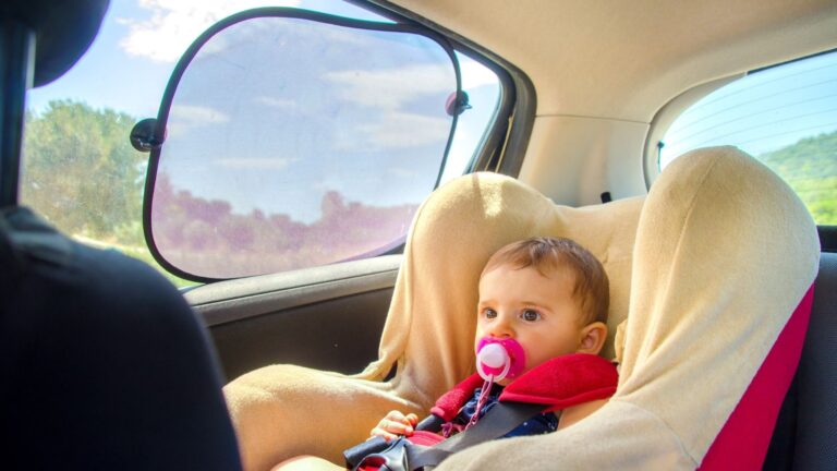Best Sunshade for Car Baby