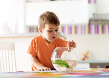Best Fish Tank for Kids
