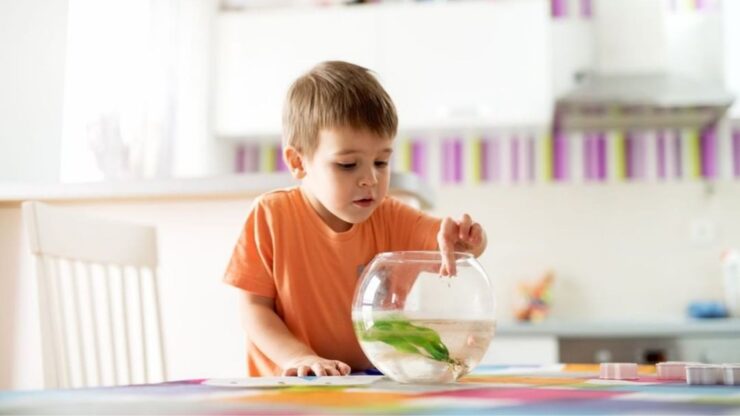 12 Best Fish Tank For Kids Reviews Of 2021 Parents Should Consider