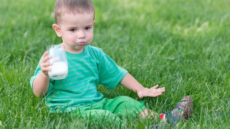 Best Organic Milk for Toddler