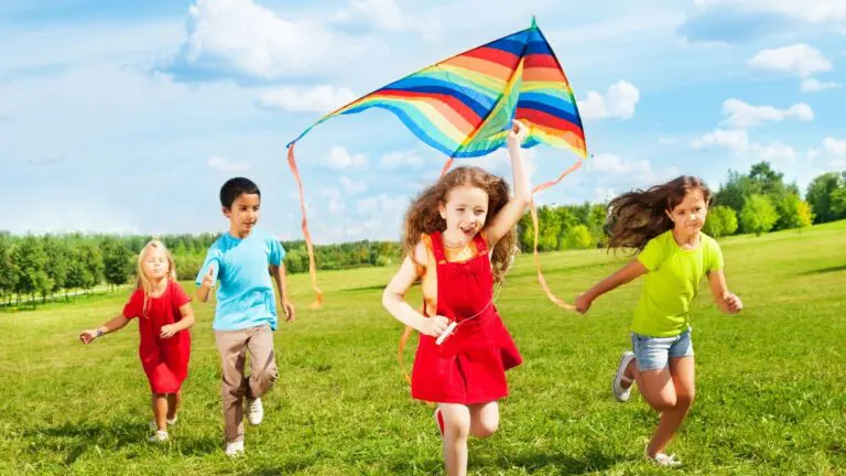 Best Kites For Kids