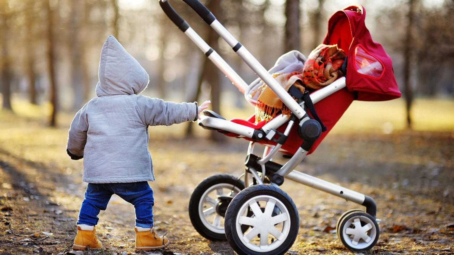 10 Best Umbrella Strollers For Toddler Reviews Of 2024