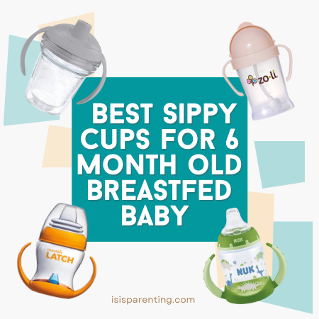 Best Sippy Cup for 6 Month Old Breastfed Baby