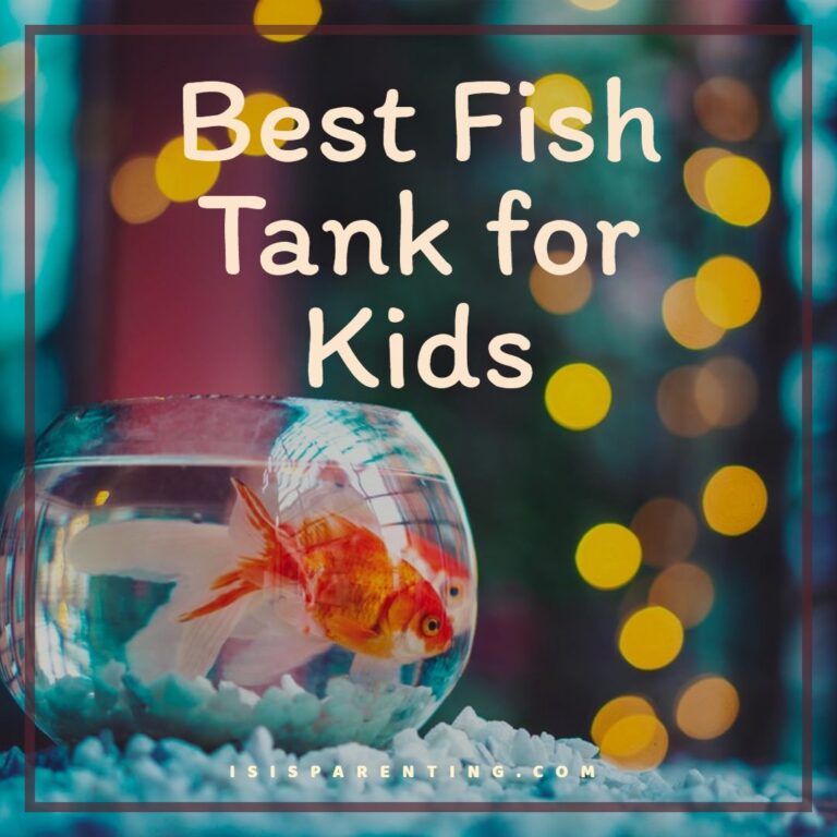 Best Fish Tank for Kids