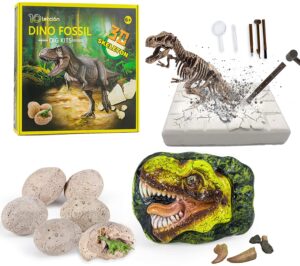 Dinosaur Fossil Digging Kit for kids