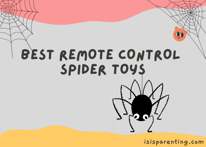 Best Remote Control Spider Toys