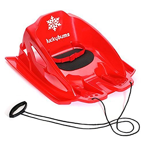 Top 8 Best Sleds For Toddlers Reviews in 2024 6