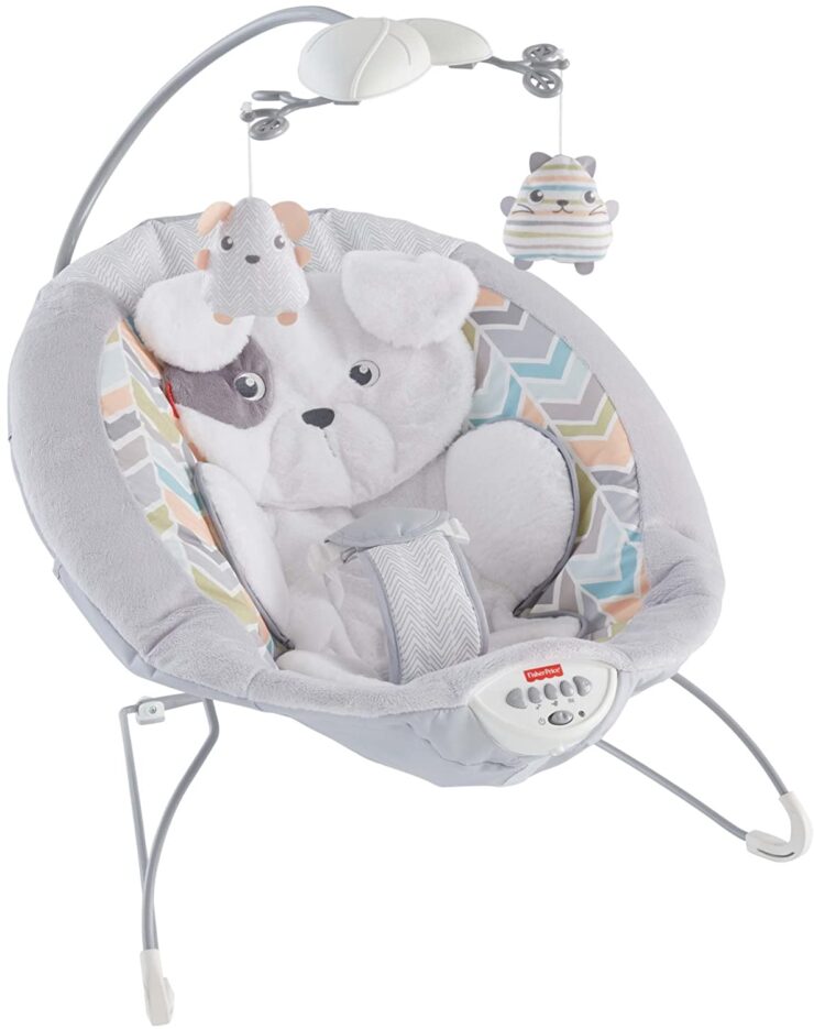 Fisher-Price Deluxe Bouncer: Sweet Dreams Snugapuppy