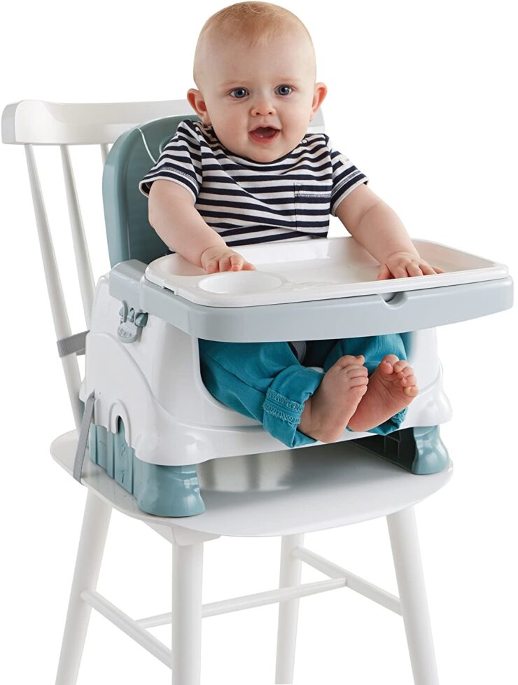 Fisher-Price Healthy Care Deluxe Booster Seat