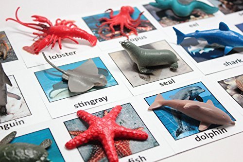 Curious Minds Busy Bags Montessori Animal Match - Miniature Ocean Animals with Matching Cards