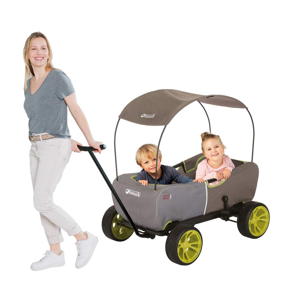 Top 10 Best Wagons for Kids Reviews in 2024 4