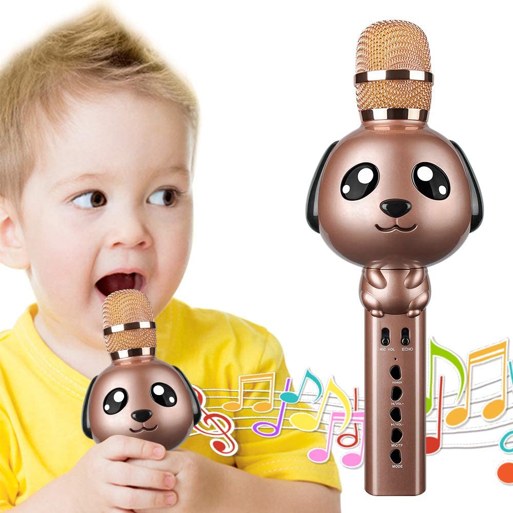 Leeron Kids Microphones Portable Handheld