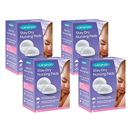 Lansinoh Stay Dry Disposable Nursing Pads