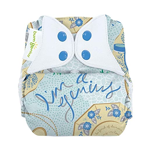 bumGenius Freetime All-in-One One-Size Snap Closure Cloth Diaper (Austen)