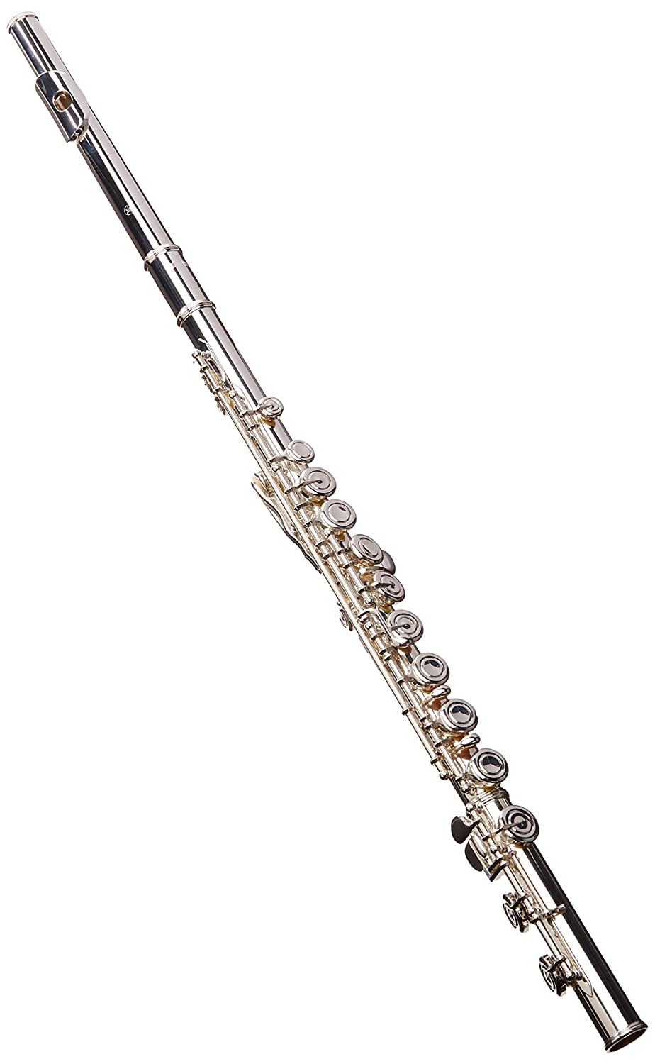 7 Best Kids Flutes 2024 - Buying Guide & Reviews 1