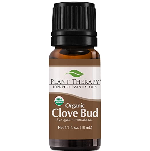 Plant Therapy Clove Bud Organic Essential Oil