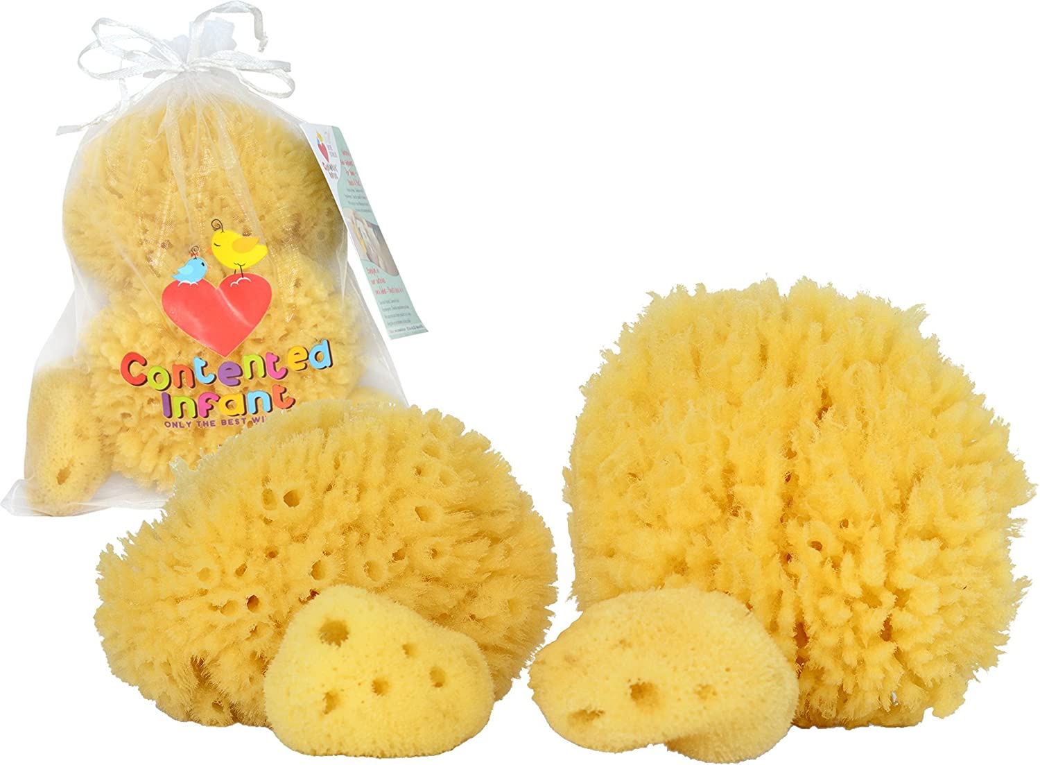 Real Sea Sponges for Babies